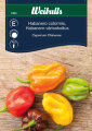Habanero chili colormix